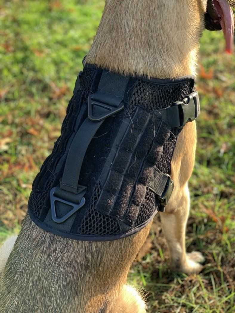 Breathable Artemis Dog Harness with adjustable fit and control handle.