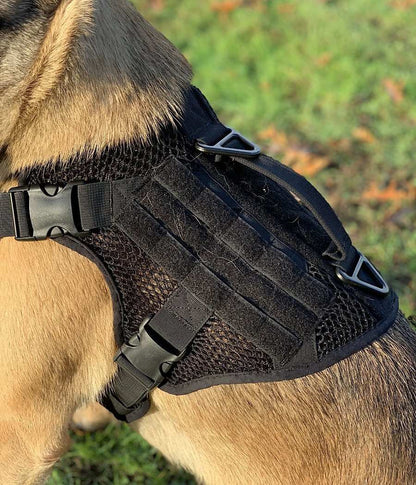 Breathable Artemis Dog Harness with adjustable straps and control handle in use on a dog.