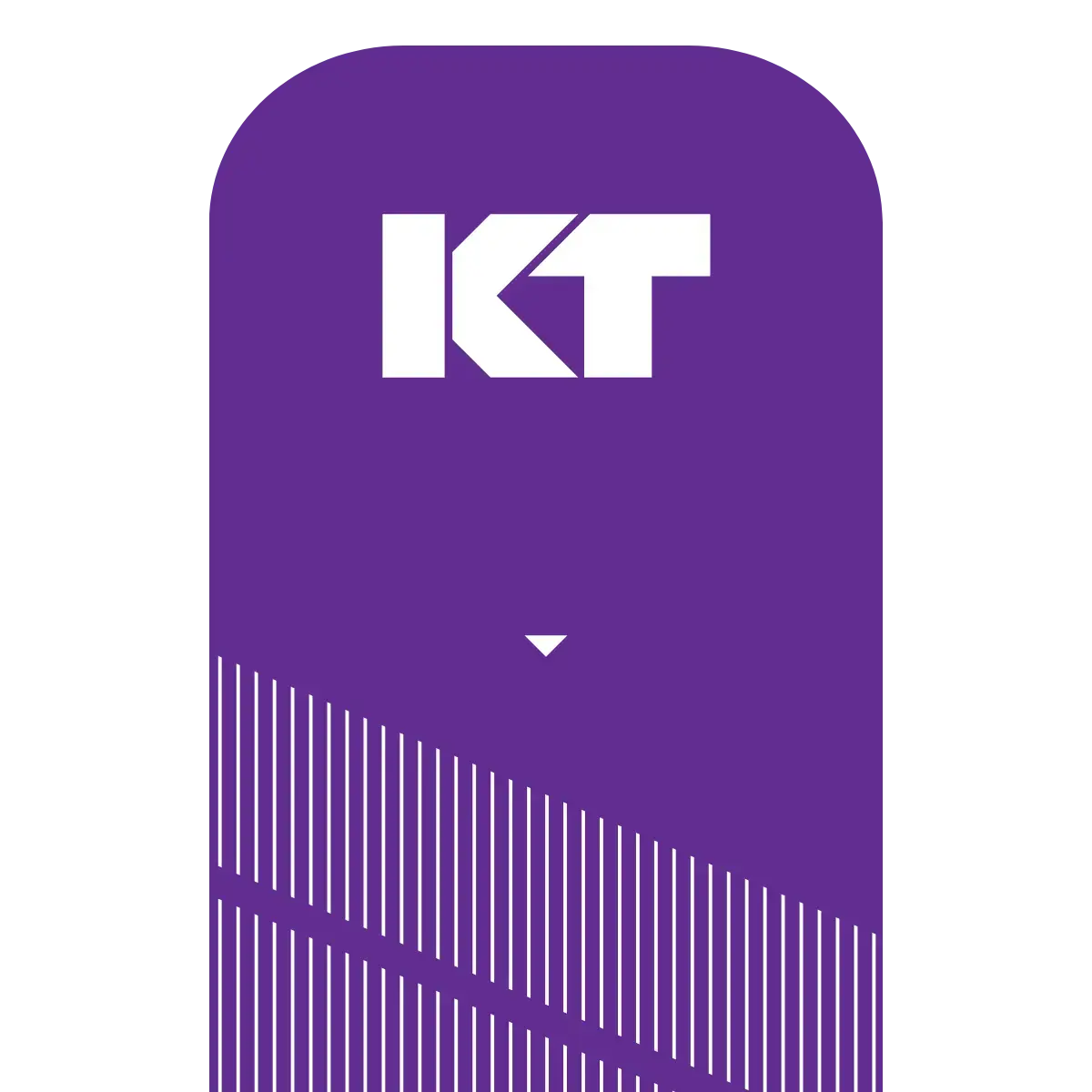 KT Tape Pro packaging in purple, featuring durable synthetic kinesiology tape designed for muscle support and pain relief.