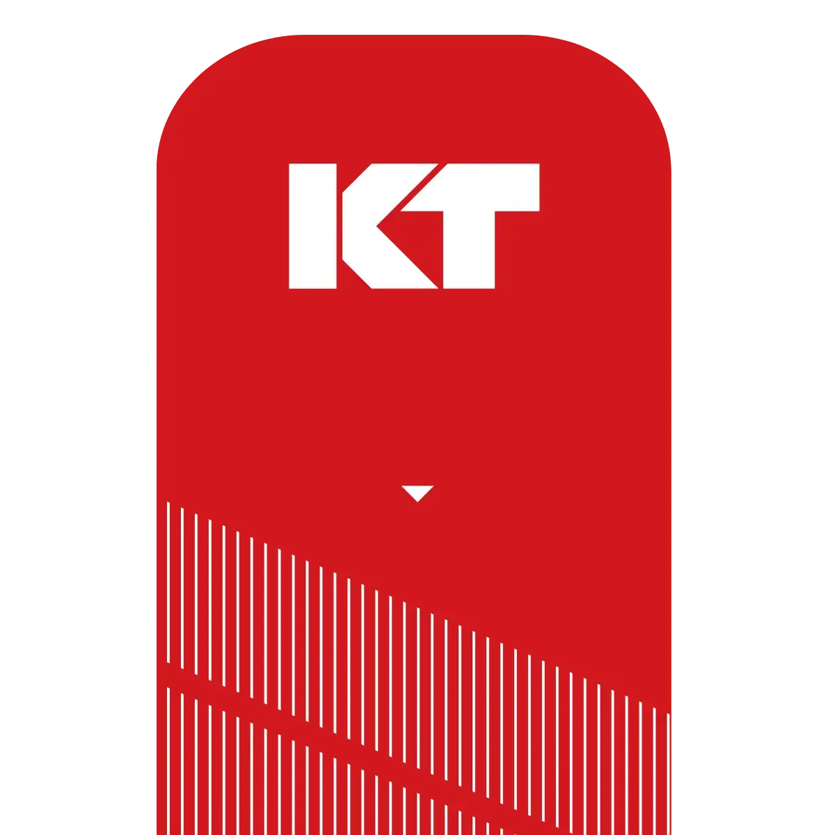 KT Tape Pro in red packaging showing durable sports tape design for muscle support.