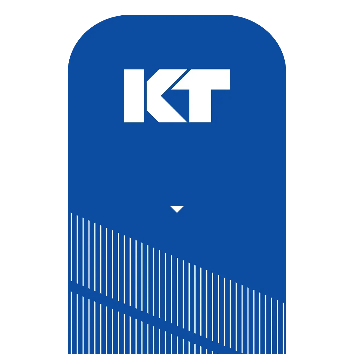 KT Tape Pro – Long-lasting synthetic kinesiology sports tape for muscle support.