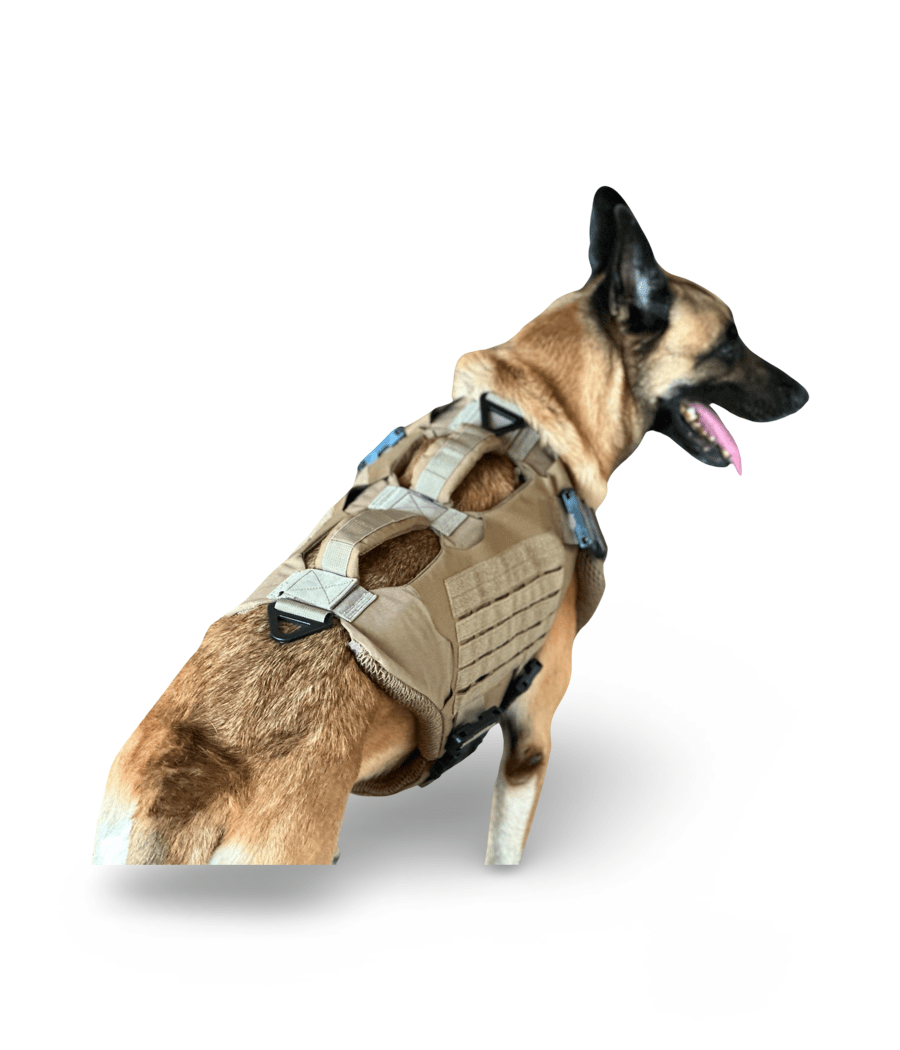 K-9 wearing Titan ballistic body armor vest 3.0 with ventilation and dual threat Level IIIA protection.