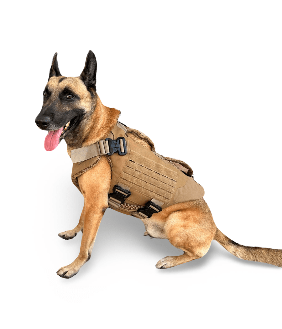 K-9 wearing Titan ballistic body armor vest for protection and comfort.