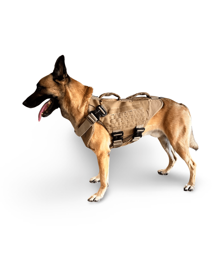 K-9 wearing Titan 3.0 ballistic body armor vest with dual threat level IIIA protection and ventilation features.