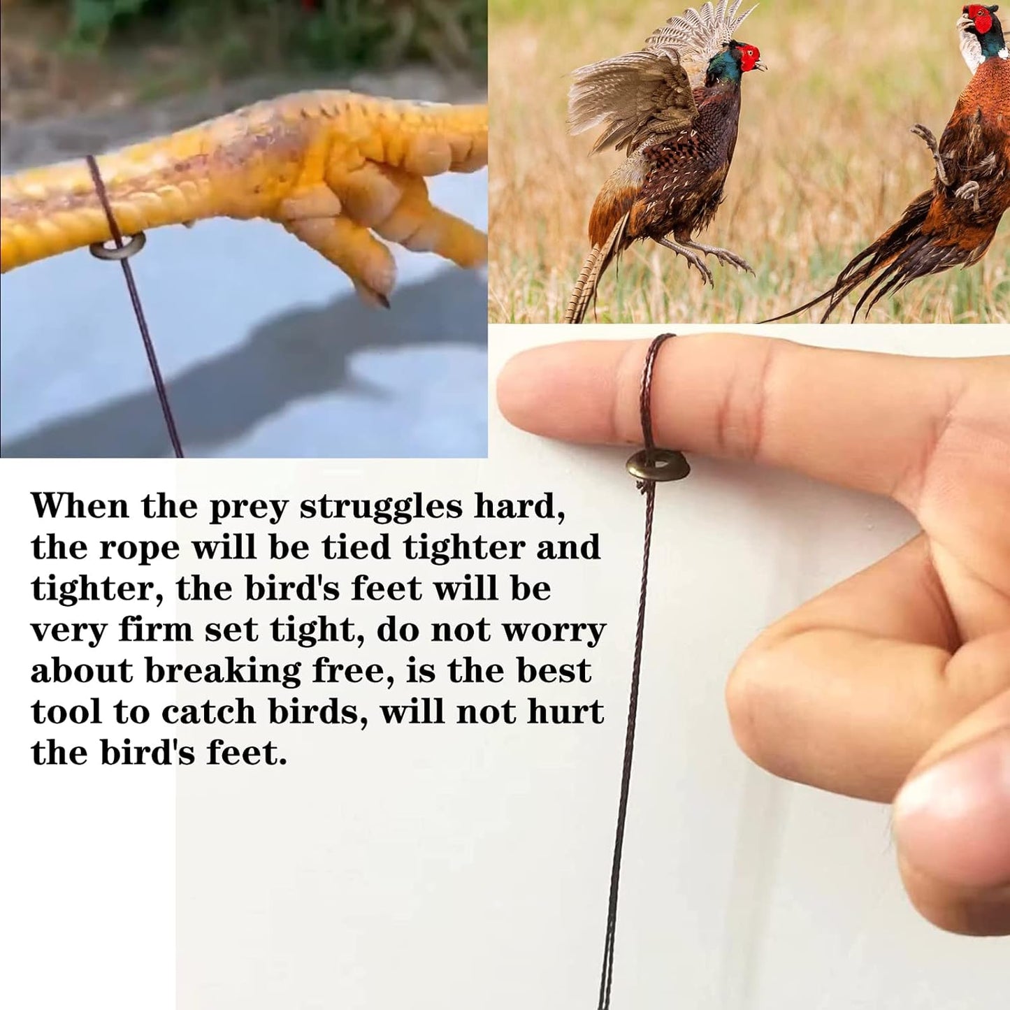 Professional Bird Trap for Chicken, Pheasant，Wild Duck, Partridge Mallard and Other Medium-Sized Birds Tying Birds' feet Won't Hurt Them