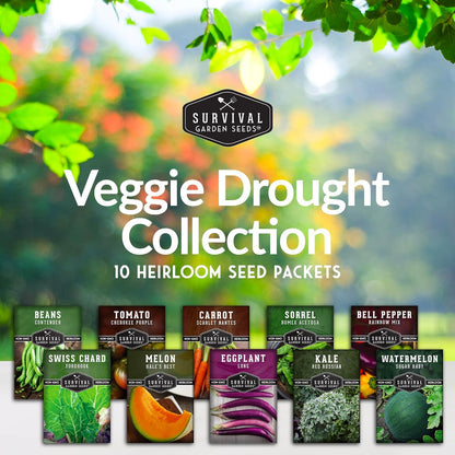 Drought-Tolerant Vegetable Seed Collection - 10 Packets of Seeds to Grow Drought-Resistant Plants for Growing in Home Vegetable Gardens - Non-GMO Heirloom Open-Pollinated - Survival Garden Seeds