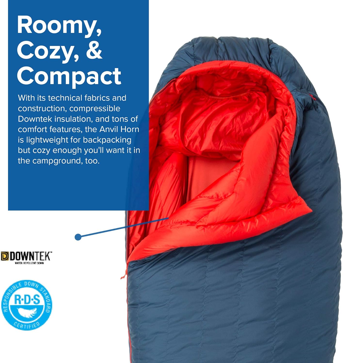 Big Agnes Anvil Horn (650 DownTek) Sleeping Bag